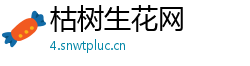 枯树生花网